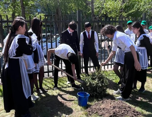 Павлодарда «Ұрпақтар сабақтастығы» акциясы аясында қарағай көшеттері отырғызылды