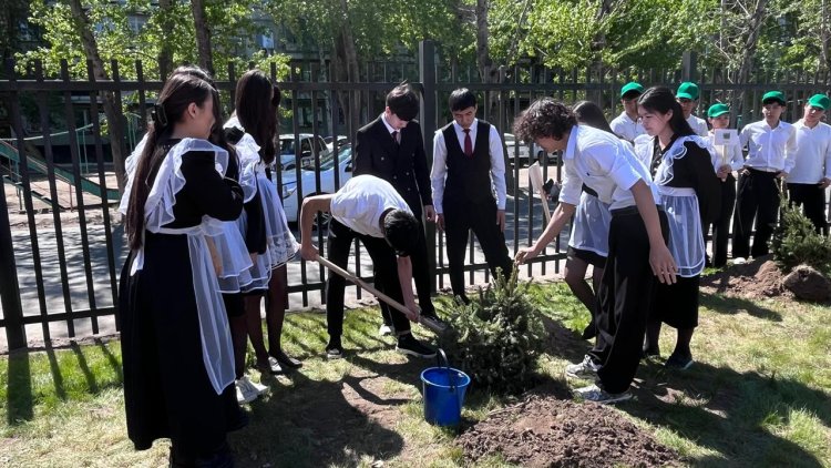 Павлодарда «Ұрпақтар сабақтастығы» акциясы аясында қарағай көшеттері отырғызылды