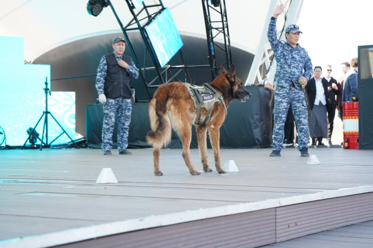 В Павлодаре четвероногий полицейский дал старт акции «Закон и порядок»