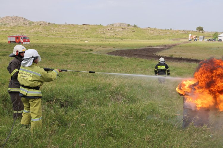 Павлодарда орман және дала өртіне қарсы іс-қимыл күшейтілуде