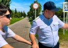 Павлодарда жазғы профилактикалық жұмыстар күшейтілген режимге ауыстырылды