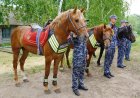 Павлодар саяжайларын салт атты полицейлер қалай күзетеді?