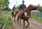 Павлодарда атты патруль қызметкерлері жылқыны қалай күтеді?