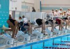 Павлодарда жүзуден облыстың ашық чемпионаты басталды