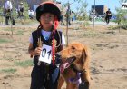 «Ertis Pavlodar» ипподромының ашылуында тазы иттердің көрме чемпионаты өтті