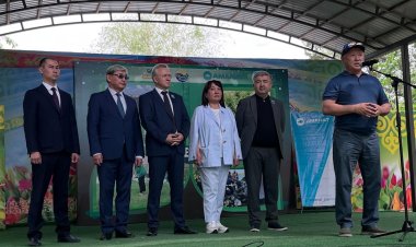 Павлодарда табиғат жанашырлары EcoFest алаңында бас қосты