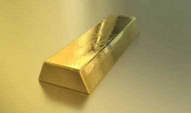 В Финляндии предложили уникальное приключение по поиску золота