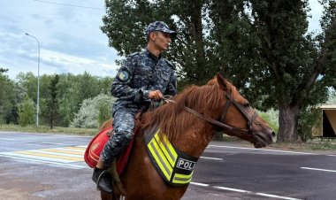 Почему конные полицейские эффективны в дачном секторе Павлодара