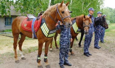 Павлодар саяжайларын салт атты полицейлер қалай күзетеді?
