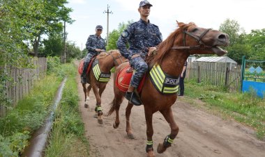 Павлодарда атты патруль қызметкерлері жылқыны қалай күтеді?