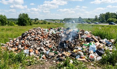 В Аксу и Экибастузе выявили нарушителей экологического законодательства