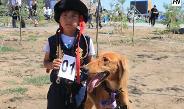 «Ertis Pavlodar» ипподромының ашылуында тазы иттердің көрме чемпионаты өтті