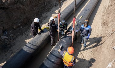 Павлодар облысы ЭКСЖ жобасын іске асыру бойынша көшбасшылар қатарына енді