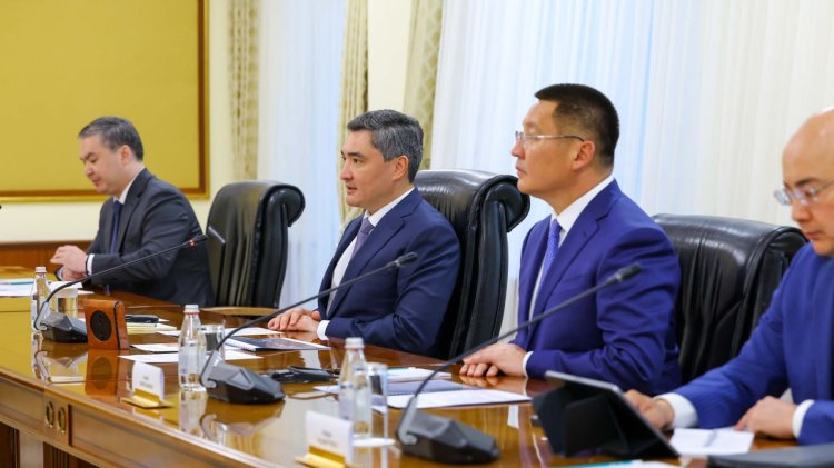 Строительство промышленного парка в Павлодарской области обсудили в Правительстве