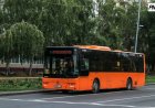 LowKzMeet-ке барасыз ба? Ertis Pavlodar ипподромына арнайы автобустар шығарылды