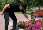 Павлодарда гүлзардағы гүлді жұлған ер адам жауапқа тартылды