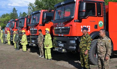 Глава Павлодарской области проверил готовность лесных хозяйств региона