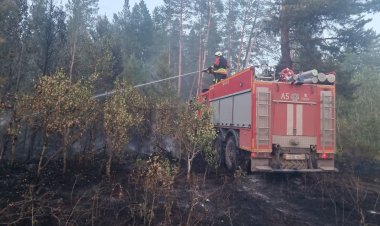 Аққулы ауданында орын алған орман өрті сөндірілді
