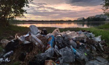 В Павлодаре запускают экологический патруль волонтеров