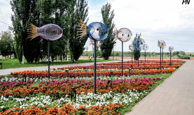 Павлодар показал международным гостям, как развивается инклюзивная среда