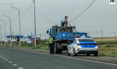 Павлодарда «жалған нөмір» таққан жүргізушілер тексеріледі
