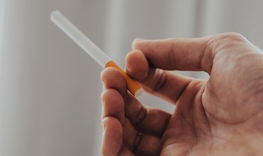 Павлодар облысы темекі шегу деңгейі ең төмен өңірлердің қатарында
