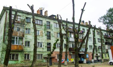 Почему аварийные деревья не сносят по первому требованию павлодарцев