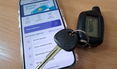 Павлодар облысында көлік пен мүлік салығына жаңа талап енгізілді