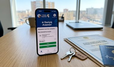 Павлодарда мүлік салығын төлеу мен декларация мерзімі жақындады
