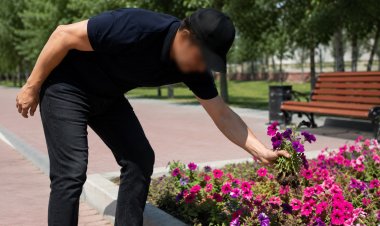 Павлодарда гүлзардағы гүлді жұлған ер адам жауапқа тартылды
