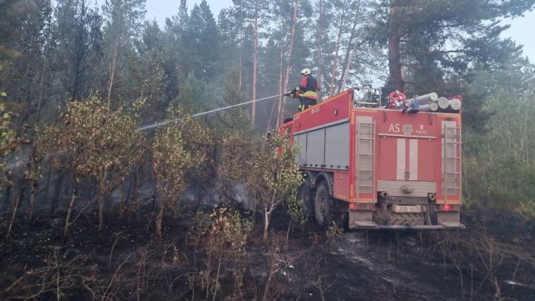 Аққулы ауданында орын алған орман өрті сөндірілді