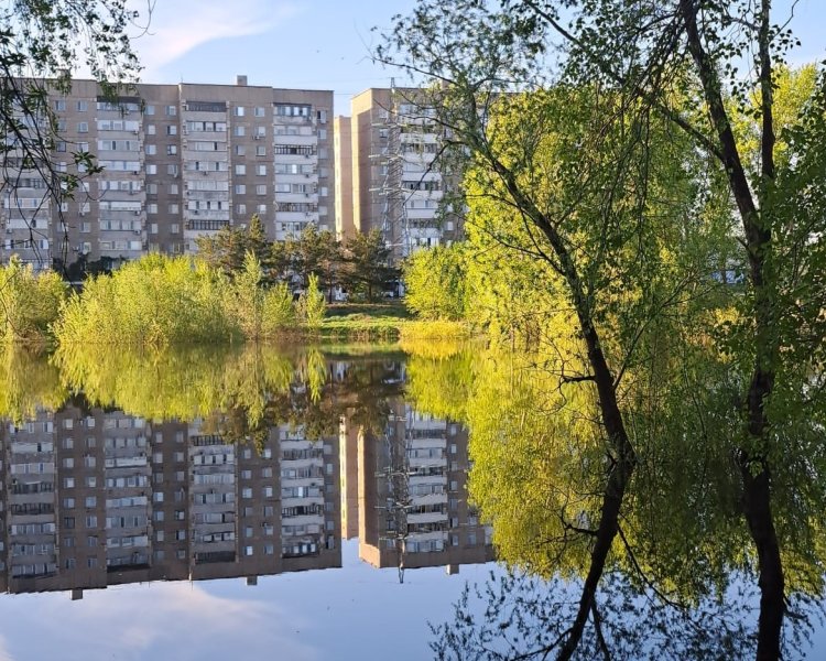 После обращения павлодарца проверят состояние Усольской набережной