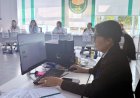 Цифровые сервисы помогают павлодарцам быстро найти свой участок