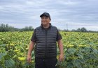 Павлодар облысында шаруалар майлы дақылдарға бет бұруда