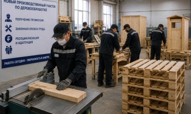 Павлодарских осуждённых научат обрабатывать древесину