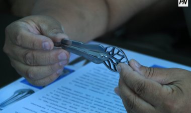 Сказание степи: шанкобыз – от забвения к возрождению