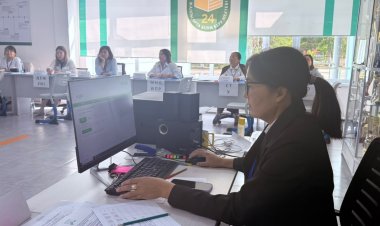 Цифровые сервисы помогают павлодарцам быстро найти свой участок