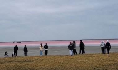 Озеро Таволжан раскрыло свои секреты любителям истории