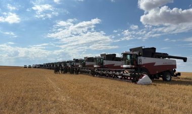 В Павлодарской области убрали 70% зерновых