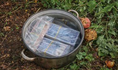 В Павлодаре нашли 24 миллиона тенге в кастрюле под яблоней