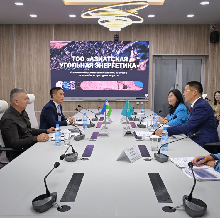 Павлодар облысында көмірді терең өңдейтін кешен салынбақ