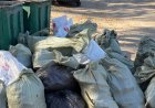 Павлодарда Ертіс жағалауын қоқыстан тазартты