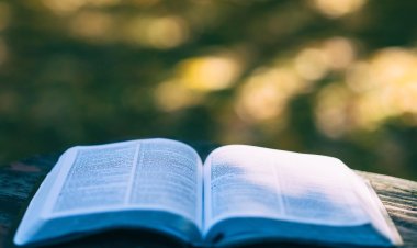 В Щербактинском районе организовали праздник книги