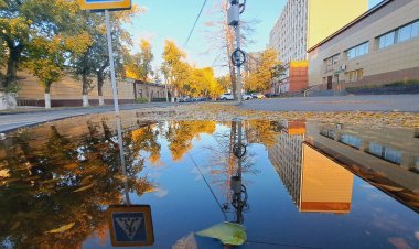 Небольшой дождь ожидают в Павлодарской области 13 октября
