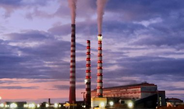 От новых заводов до крупных производств: чего достиг Казахстан за семь лет