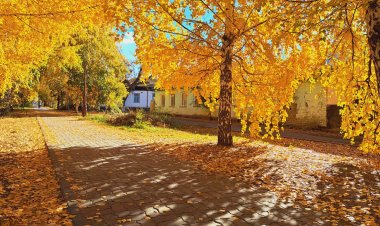 19 қазанда Павлодар облысында жауын-шашын болмайды