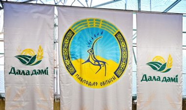 Павлодарские производители привезли в Астану 615 тонн продукции