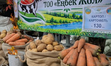 Ертіс-Баян өнімі – елорда төрінде
