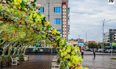 Что изменилось в облике Павлодара этим летом