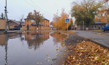 Дождь и гололёд: погода в Павлодарской области 21 октября